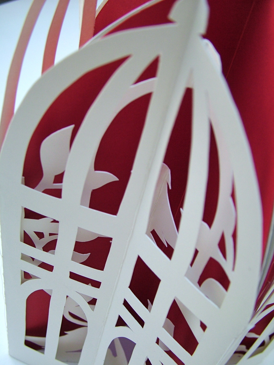 Scenes from a Birdcage - detail