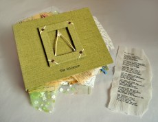 Collector_CvrWithTxtPg_low