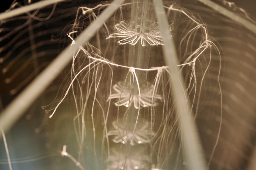 Circumstantial Gravity - detail