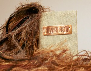 IMG_4019_sml_cropped