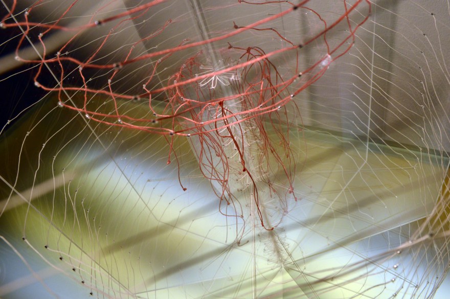 The Sky Is Surely Open