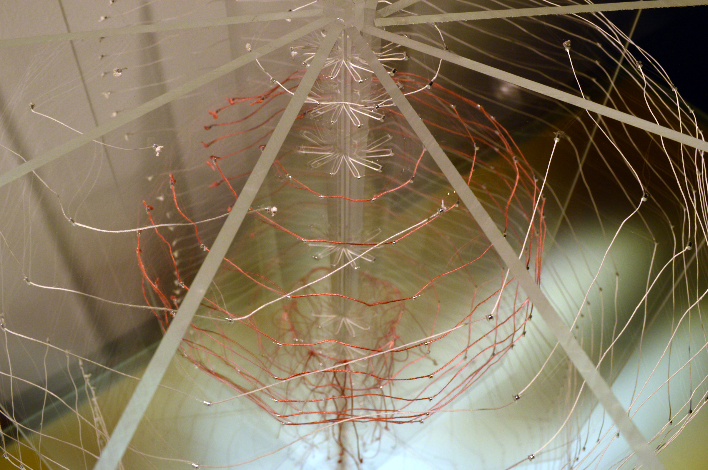 The Sky Is Surely Open