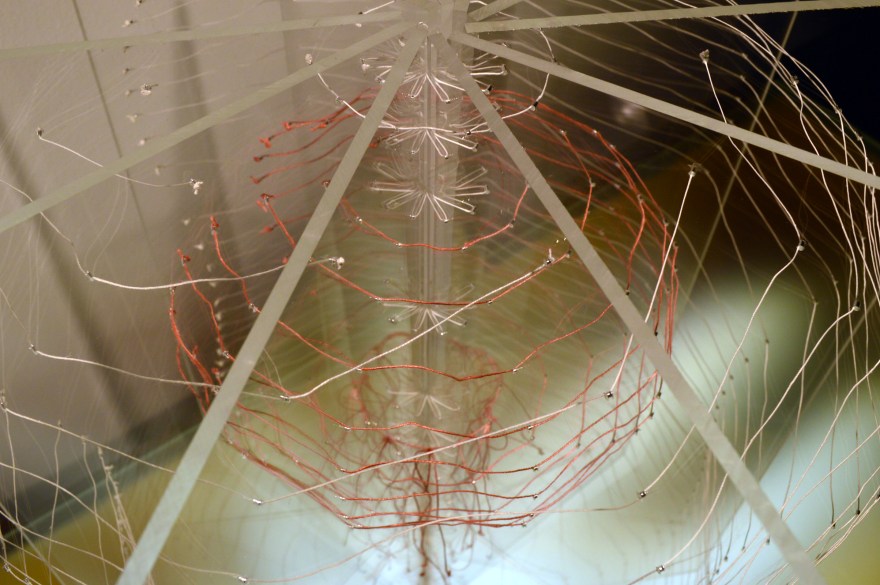 The Sky Is Surely Open