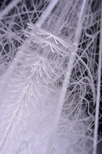 Wicked Thicket - detail