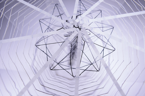 The Belt of Orion's Never Wife - detail