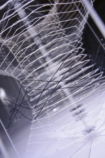 The Belt of Orion's Never Wife - detail