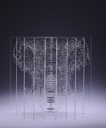 The Belt of Orion's Never Wife - detail (half open)